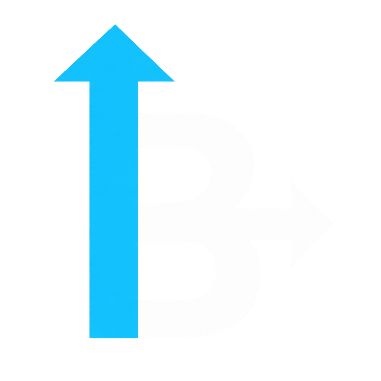 B in Motion Foundation