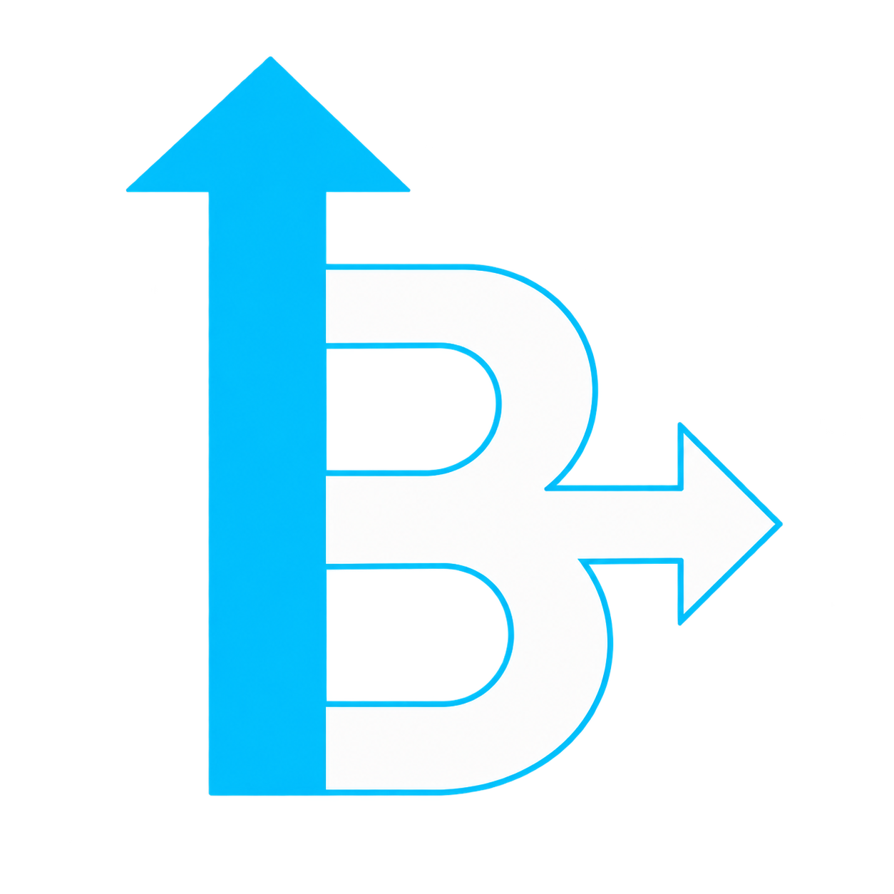 B in Motion Foundation